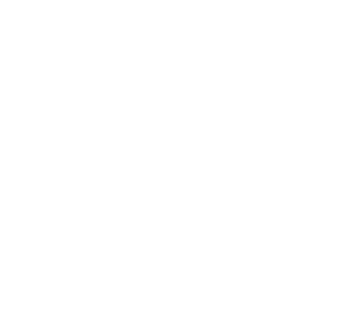 MikMak Evolve Logo